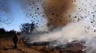 ? Dust devil meets a brush fire