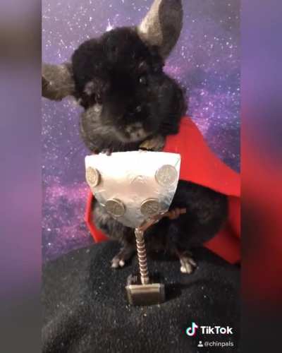 Chin-vengers... Assemble! ?