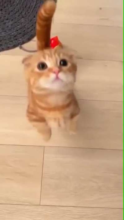 Look at mee