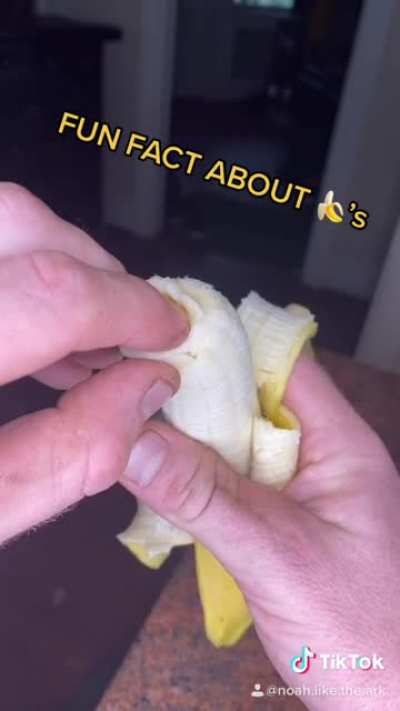 I just learned banana’s have 3 sections