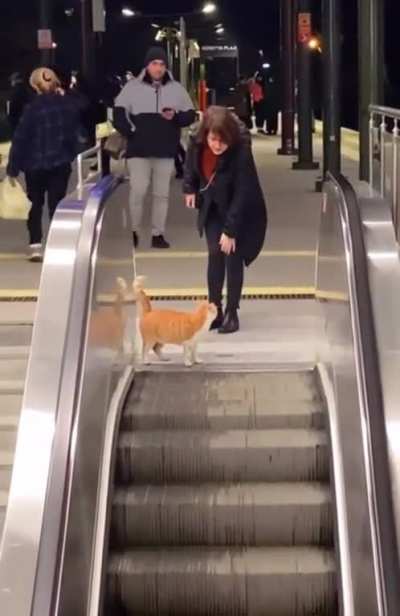 little mans going nowhere