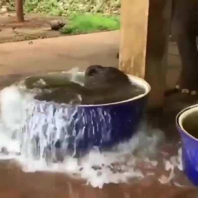 After hot sunny days