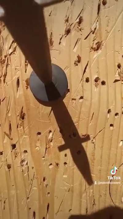 I'm a knife thrower and this is the smallest target I've pinned so far. A ⅜" rubber washer from about 10 feet.