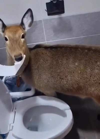 Just gotta use the bathroom real quick.