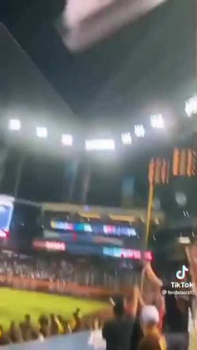 Excited baseball fan watches Seth Beer hit a walk off home run of National Beer Day