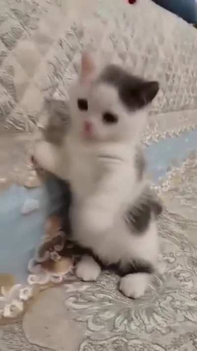 Him!
