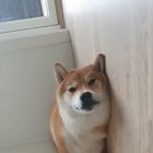 Look at this idiot