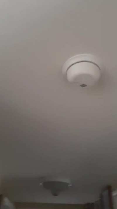 all the smoke dectectors in my apartment went off...