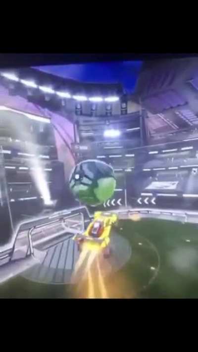 yeah turtle