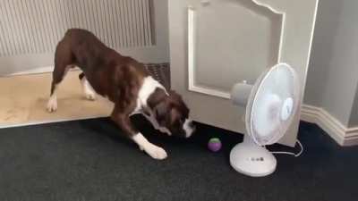 Maybe maybe maybe