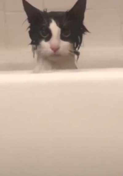 "Take a bath, they said. It will be fun, they said.”