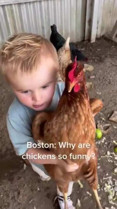 Boston Boy