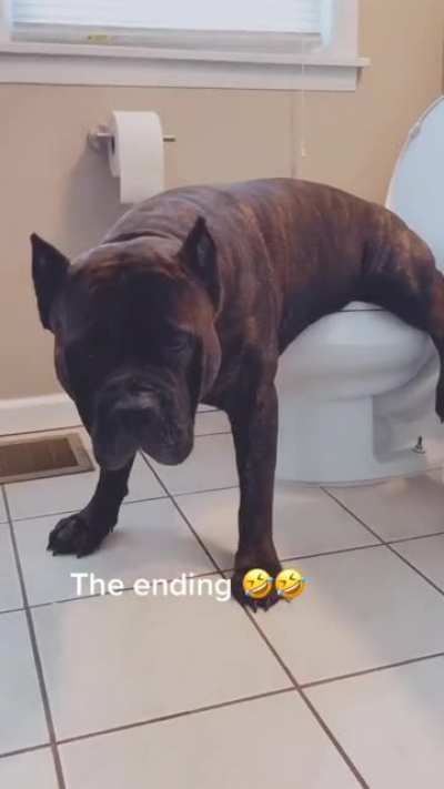 ??