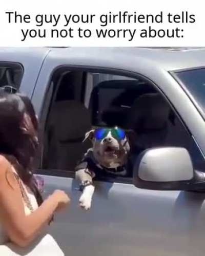 Cool dog???