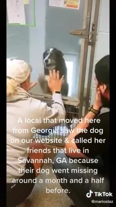 I’m not crying, you’re crying...