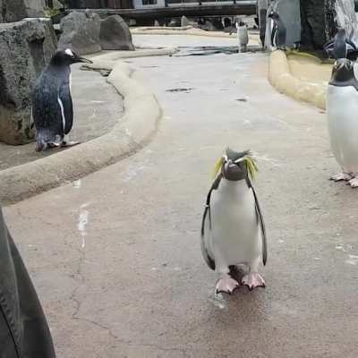 it's the last Friday of winter! ?