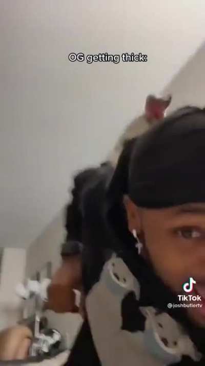 Man assaults dog - Dog: “…and I took that personally”
