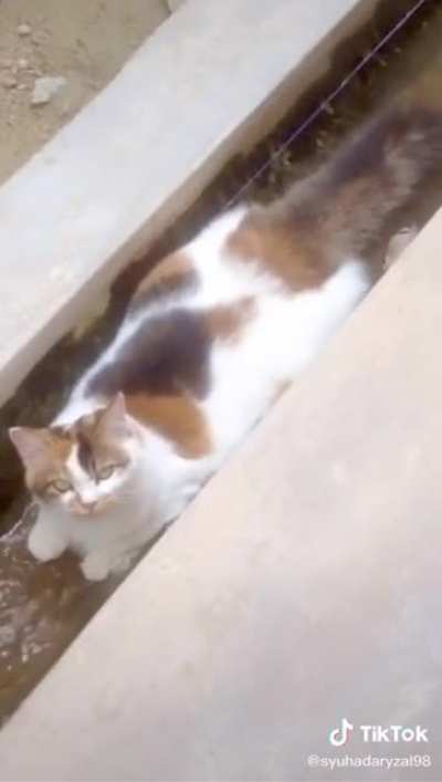 Cat Dam part 1
