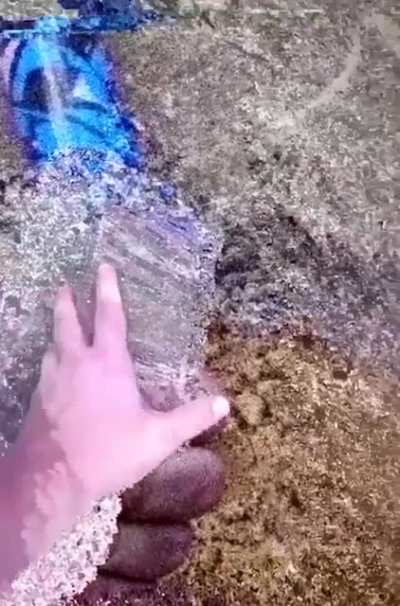 My brain hurts and yours will too