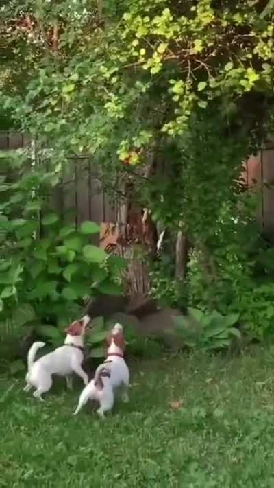 Maybe maybe maybe