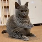 I think my rabbit is broken