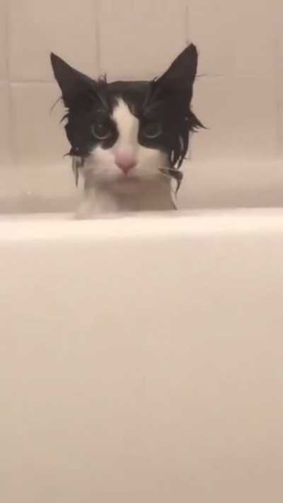 Ohh he is definitely plotting a revenge ??