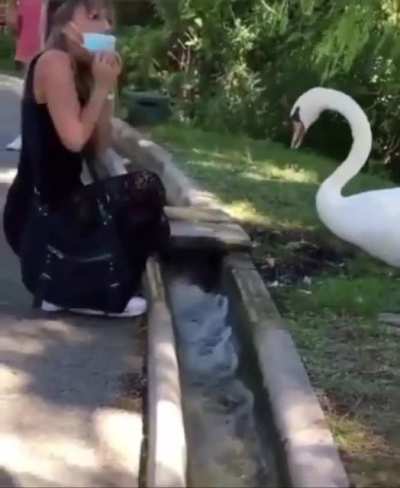 That's what you get for not wearing a mask.