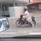 Big fish bike