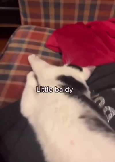 Kitty got spayed