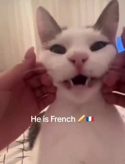 He is really a little bit French
