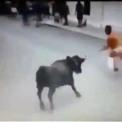 The bull said “I was just playing, but fuck it that’s what you get"