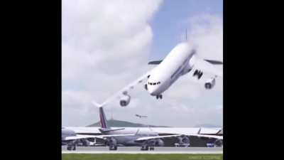 It’s not just people who are scared of flying!