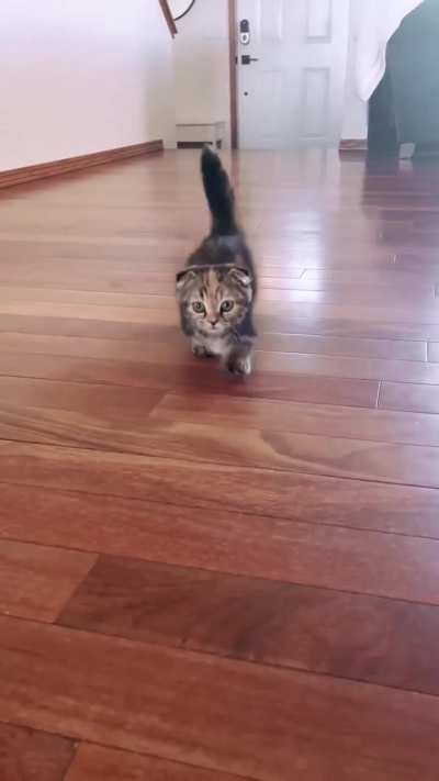 He comin'