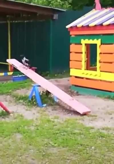 "Fine, I'll play by myself."