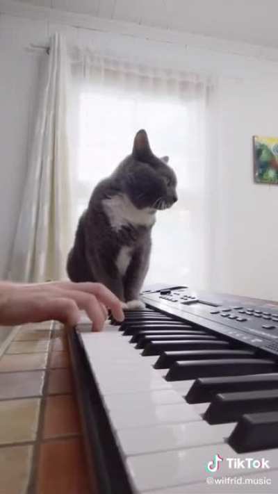 Can’t get off your keyboard? Improvise