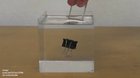 Invisible Rube Goldberg machine