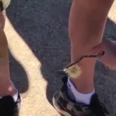 Maybe maybe maybe