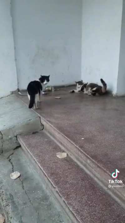Poor guy almost had a heart attack