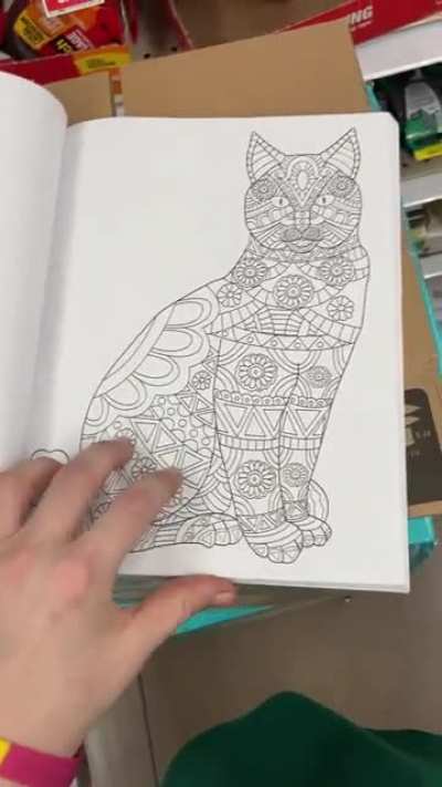 Cat Farts Coloring Book ??