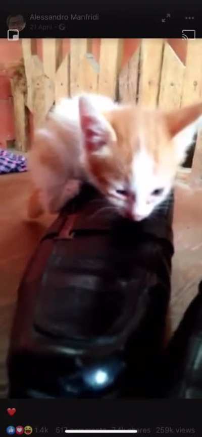 Maybe maybe maybe
