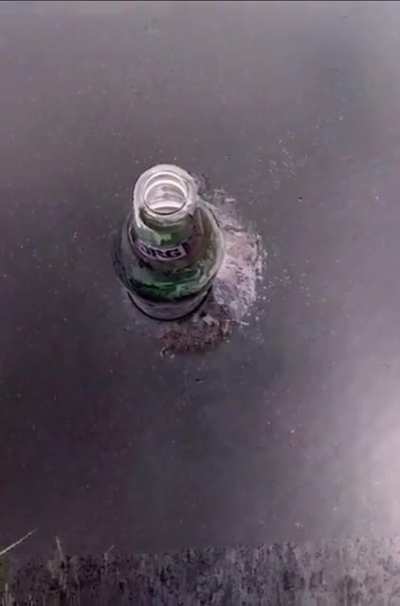 My brain on drugs