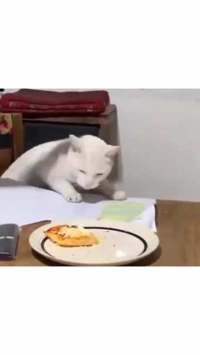 not so polite