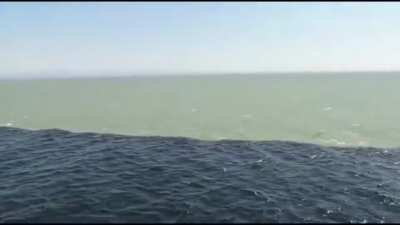 ? Fresh water meets Sea water