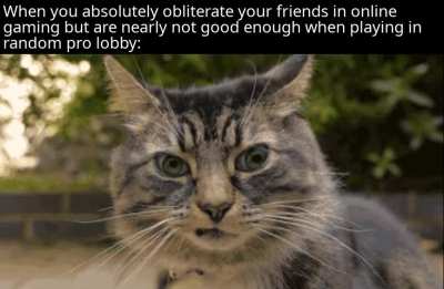 *chuckles* I'm in danger