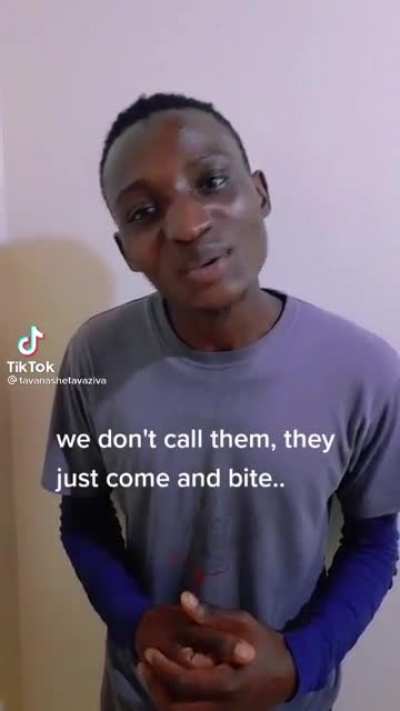What do you call mosquito in your language?