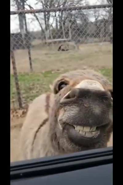 That damn smile, rawr!!