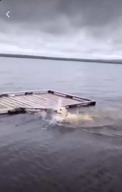 He Was Just Checking The Surface Tension