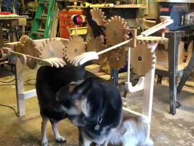 This device made from wood for petting Good Boys