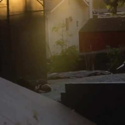 HMC while I skate a Mega-Ramp