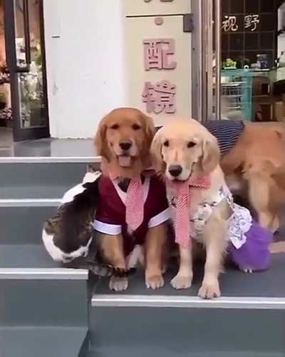 Join the family photo